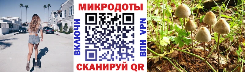 наркота  Иваново  Псилоцибиновые грибы Magic Shrooms 